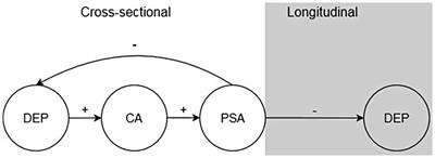 Testing the Analytical Rumination Hypothesis: Exploring the Longitudinal Effects of Problem Solving Analysis on Depression